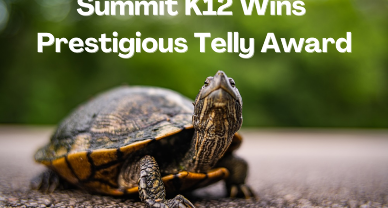 Telly awards