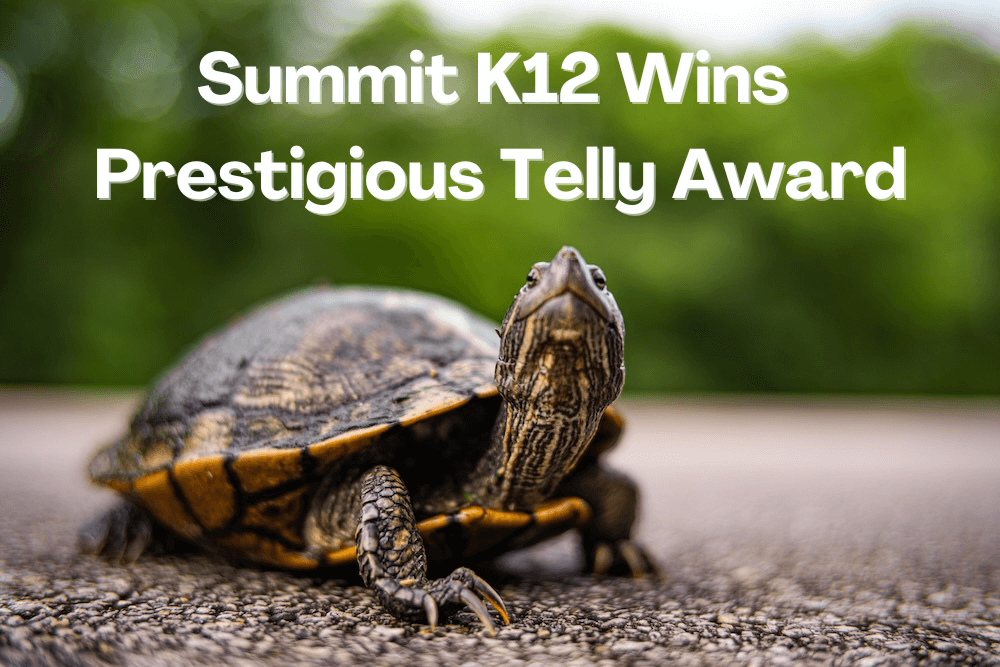 Summit K12 Wins Prestigious Telly Award